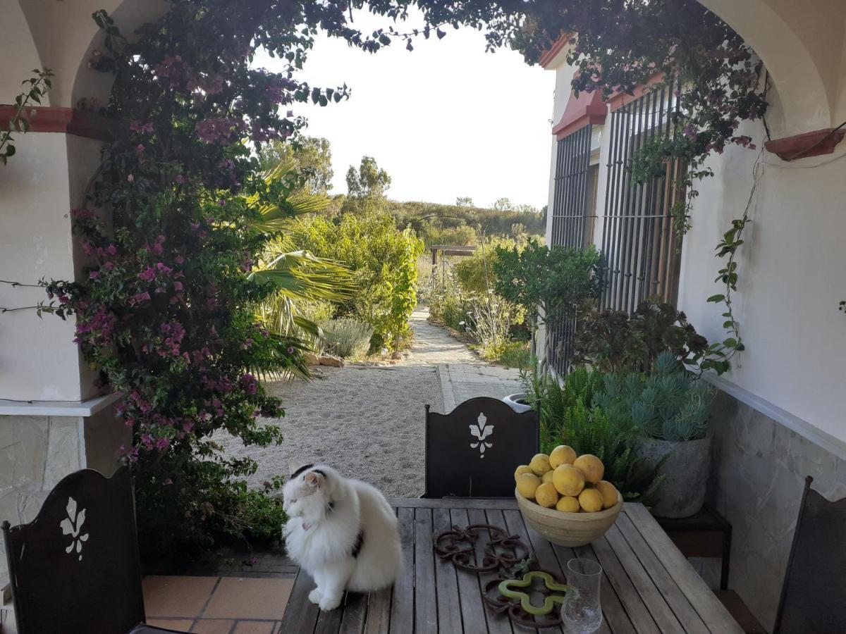 Villa Entre Mer Et Montagne 아르코스델라프론테라 외부 사진